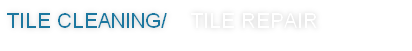 tile cleaning/ tile repair